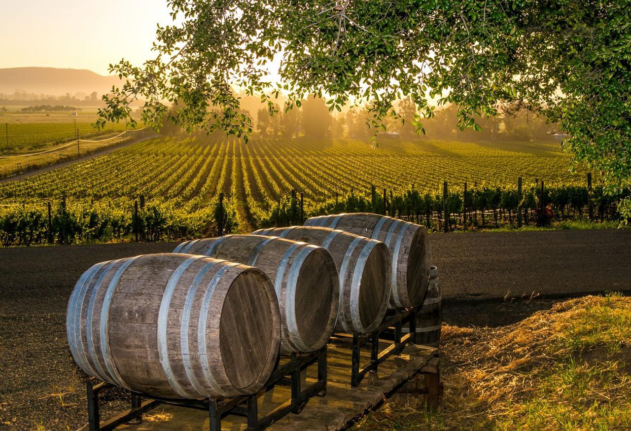 An Ideal Wine Country Getaway Villa Сесснок Экстерьер фото